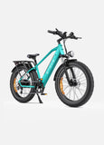 ENGWE E26 48V/16Ah 750W Electric Bike