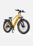 ENGWE E26 48V/16Ah 750W Electric Bike