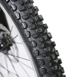 NAKTO Santa Monica 48V/10Ah 750W Fat Tire Electric Bike