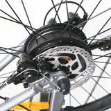 NAKTO Santa Monica 48V/10Ah 750W Fat Tire Electric Bike