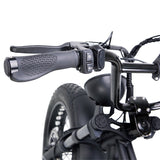 NAKTO F2 48V/16Ah 500W/750W Fat Tire Electric Bike