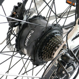 Coastal Cruiser Step Thru 26x4 52V/21Ah 750W Electric Bike