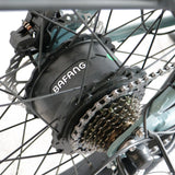 Coastal Cruiser Step Thru 26x4 52V/21Ah 750W Electric Bike