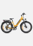 ENGWE E26 48V/16Ah 750W Electric Bike