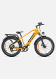 ENGWE E26 48V/16Ah 750W Electric Bike