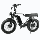 NAKTO F2 48V/16Ah 500W/750W Fat Tire Electric Bike