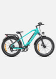 ENGWE E26 48V/16Ah 750W Electric Bike