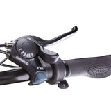 NAKTO F4 48V/20Ah 750W Electric Bike