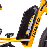 NAKTO F4 48V/20Ah 750W Electric Bike
