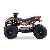 Droyd Fury 36V/8Ah 500W Kids Electric ATV