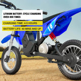 Hiboy DK1 36V/4Ah 300W Electric Dirt Bike For Kids
