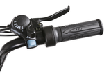 NAKTO Folding Ox 48V/12Ah 500W Fat Tire Electric Bike