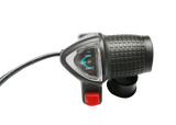 NAKTO Fashion 36V/10Ah 250W Electric Bike