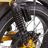 NAKTO F4 48V/20Ah 750W Electric Bike