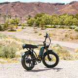 NAKTO F2 48V/16Ah 500W/750W Fat Tire Electric Bike