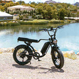 NAKTO F2 48V/16Ah 500W/750W Fat Tire Electric Bike