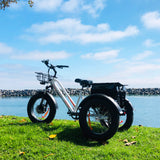 DWMEIGI Zeus MG1703 48V/18.2Ah 750W Electric Trike