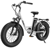 Hiboy EX6 48V/15Ah 500W Fat Tire Electric Bike