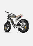 ENGWE M20 48V 13Ah/26Ah 750W All-Terrain Electric Bike