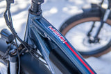 DWMEIGI Pegasus 48V/16Ah 750W Fat Tire Electric Bike