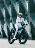 ENGWE X26 48V 19Ah/29Ah 1000W All-Terrain Electric Bike