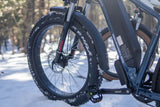 DWMEIGI Pegasus 48V/16Ah 750W Fat Tire Electric Bike