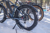 DWMEIGI Pegasus 48V/16Ah 750W Fat Tire Electric Bike