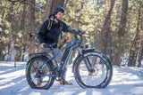 DWMEIGI Pegasus 48V/16Ah 750W Fat Tire Electric Bike