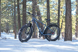 DWMEIGI Pegasus 48V/16Ah 750W Fat Tire Electric Bike