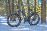DWMEIGI Pegasus 48V/16Ah 750W Fat Tire Electric Bike