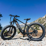 Hiboy P6 48V/11.6Ah 750W Fat Tire Electric Bike