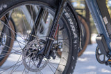 DWMEIGI Pegasus 48V/16Ah 750W Fat Tire Electric Bike