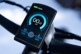 DWMEIGI Pegasus 48V/16Ah 750W Fat Tire Electric Bike