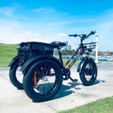 DWMEIGI Zeus MG1703 48V/18.2Ah 750W Electric Trike