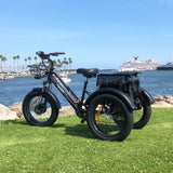 DWMEIGI Zeus MG1703 48V/18.2Ah 750W Electric Trike