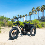 DWMEIGI Zeus MG1703 48V/18.2Ah 750W Electric Trike