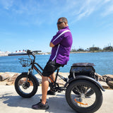 DWMEIGI Zeus MG1703 48V/18.2Ah 750W Electric Trike