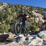 Hiboy P6 48V/11.6Ah 750W Fat Tire Electric Bike