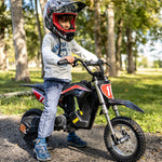 Hiboy DK1 36V/4Ah 300W Electric Dirt Bike For Kids