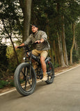 ENGWE X26 48V 19Ah/29Ah 1000W All-Terrain Electric Bike