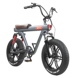 DYU V8 48V/15.5Ah 750W Electric Bike