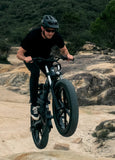 ENGWE X26 48V 19Ah/29Ah 1000W All-Terrain Electric Bike