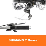 DWMEIGI Zeus MG1703 48V/18.2Ah 750W Electric Trike