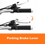 DWMEIGI Zeus MG1703 48V/18.2Ah 750W Electric Trike