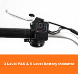 DWMEIGI Hera MG708 36V/13Ah 350W Step-Thru Electric Trike