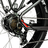 DWMEIGI Pegasus 48V/16Ah 750W Fat Tire Electric Bike