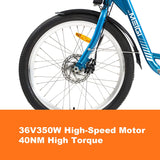 DWMEIGI Hera MG708 36V/13Ah 350W Step-Thru Electric Trike