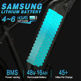 DWMEIGI Pegasus 48V/16Ah 750W Fat Tire Electric Bike