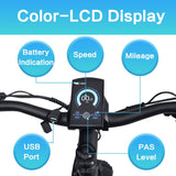 DWMEIGI Pegasus 48V/16Ah 750W Fat Tire Electric Bike