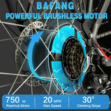 DWMEIGI Pegasus 48V/16Ah 750W Fat Tire Electric Bike